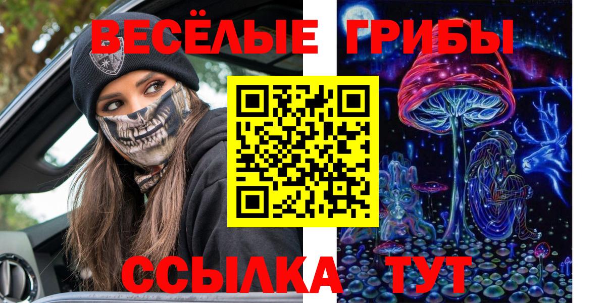 Псилоцибиновые грибы Magic Shrooms  Вход с VPN  Железноводск  Галлюциногенные грибы Magic Shrooms 